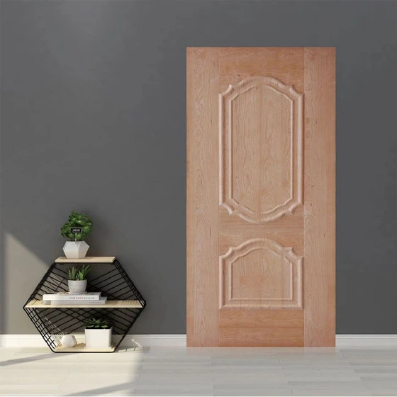 door-skin-panel-1-1.webp