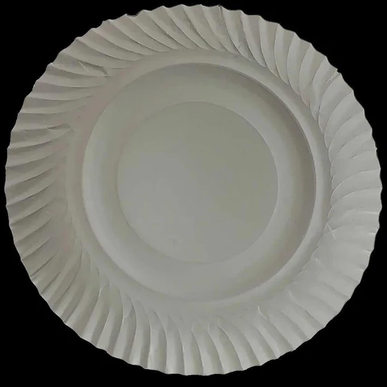 round-paper-plate-2.webp