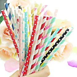 Bio Degradable Paper Straw