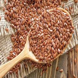 Flax Organic Seeds