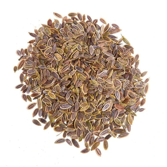 natural-dill-seeds-1.webp