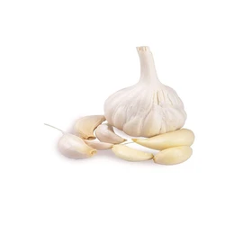 Fresh White Garlic