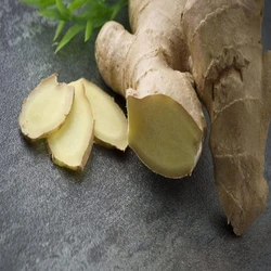 Fresh Cooking Ginger