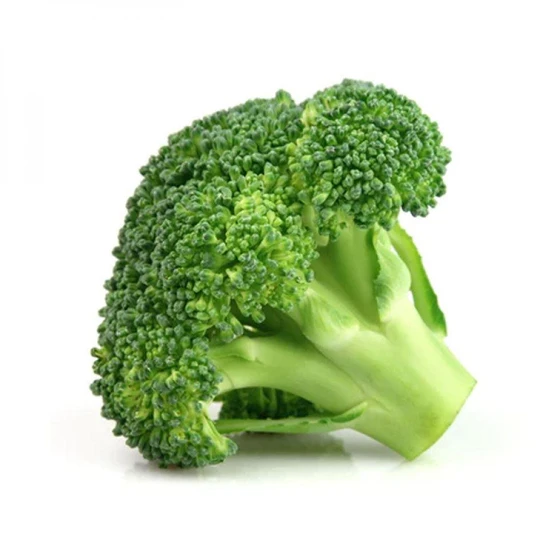 broccoli-exotic-vegetables-2.webp