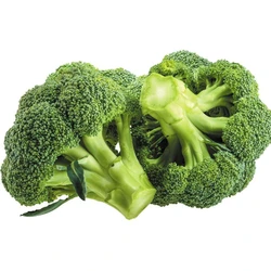 Broccoli Exotic Vegetables