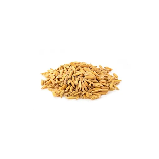 paddy-rice-2.webp