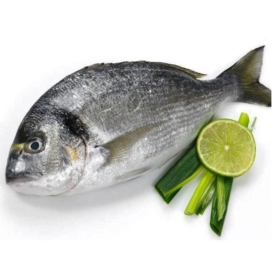 sea-bream-fish-1.webp