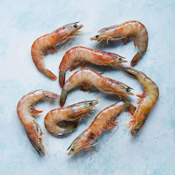 whole-fresh-prawn-1.webp
