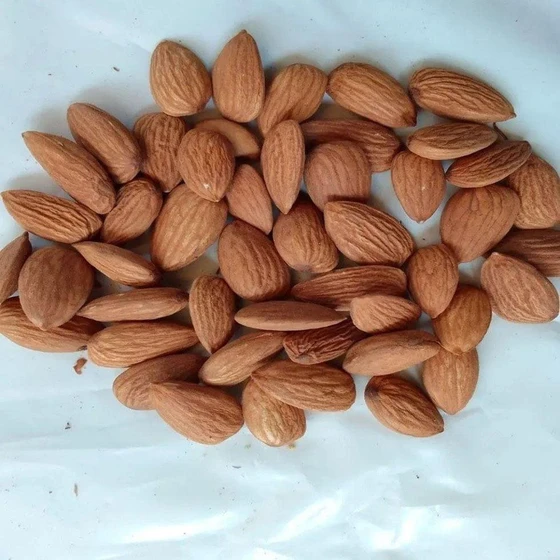 brown-almond-nuts-1.webp