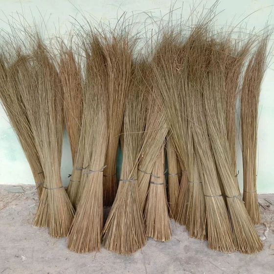 brown-grass-broom-2.webp