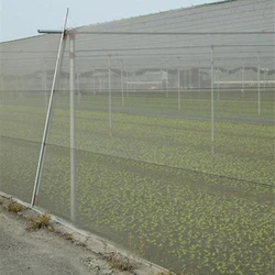 Agricultural Insect Net