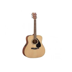 Acoustic Electric Guitars