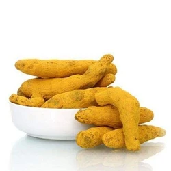 Yellow Turmeric Fingers
