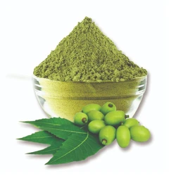 Herbal Neem Powder