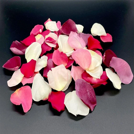 freeze-rose-petals-1.webp