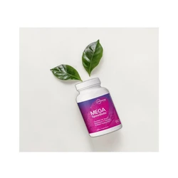 Mega-Sporebiotic Digestive capsules