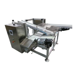 Industrial Inspection Conveyor