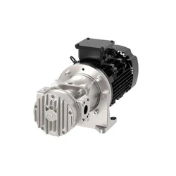 Stationary Engine Oil Pumps