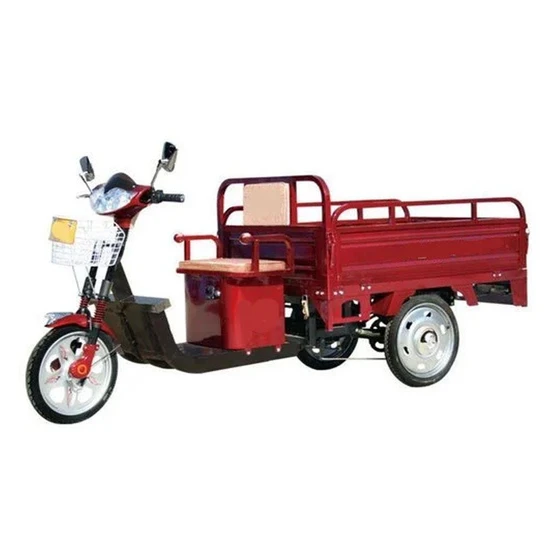 electric-tricycle-rickshaw-2.webp