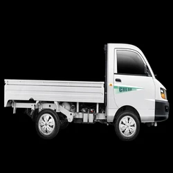 Cng Mini Truck