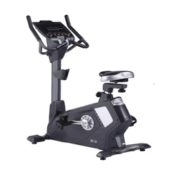 Commercial Upright Bike