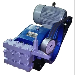 Reciprocating Triplex Pump