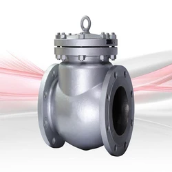 Check Swing Valves