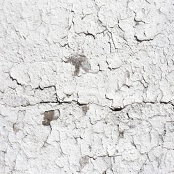 Texture White Paints