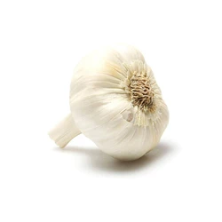 Fresh Organic Garlic