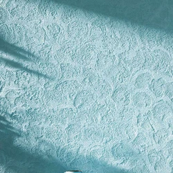 Wall Exterior Coatings