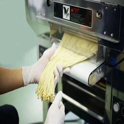 Making Noodles Machine