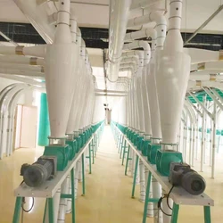 White Flour Mill Plant