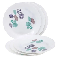 Print Plastic Plates