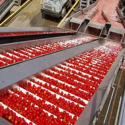 Tomato Processing Plants