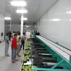 Frozen Food Processing Plant