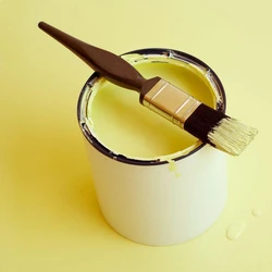 Enamel Paint Coating