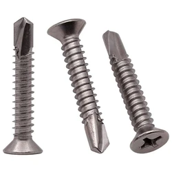 Ss Tapping Screw
