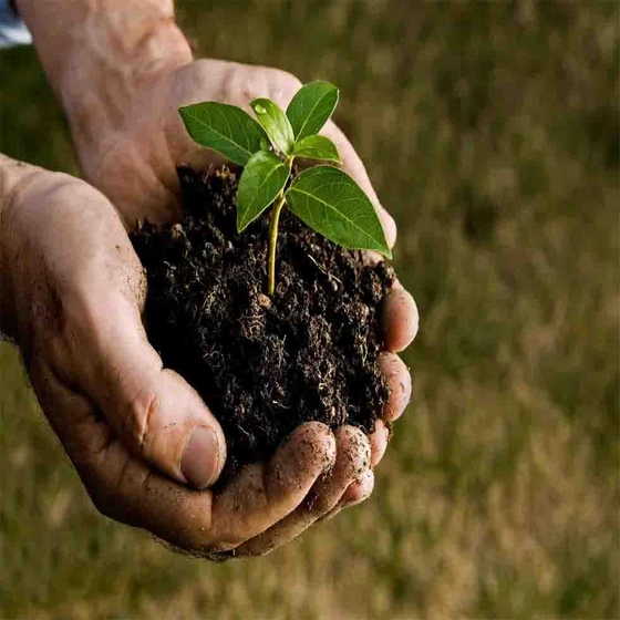 soil-conditioner-1.webp
