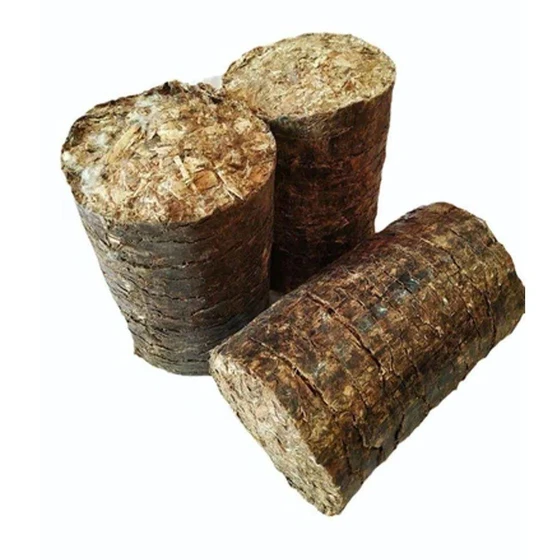 agro-waste-briquette-1.webp
