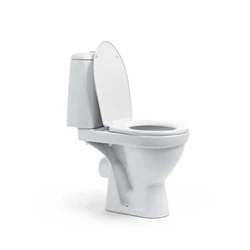 Ceramic Toilet Seats