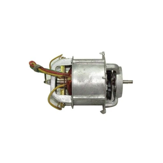 mixer-grinder-motor-1.webp
