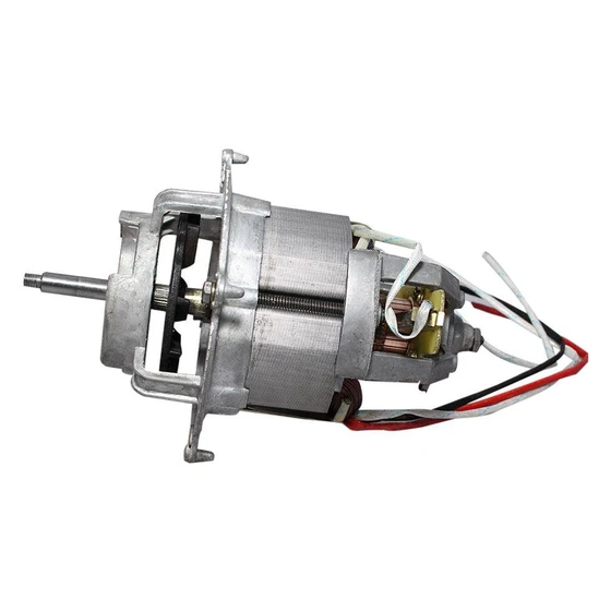 mixer-grinder-motor-2.webp