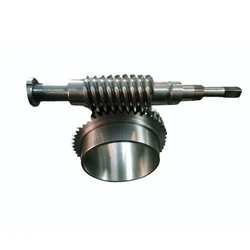 Silver Worm Wheel Gear