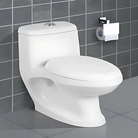 western-ceramic-toilet-2.webp
