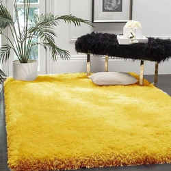 Rug Shaggy Carpet