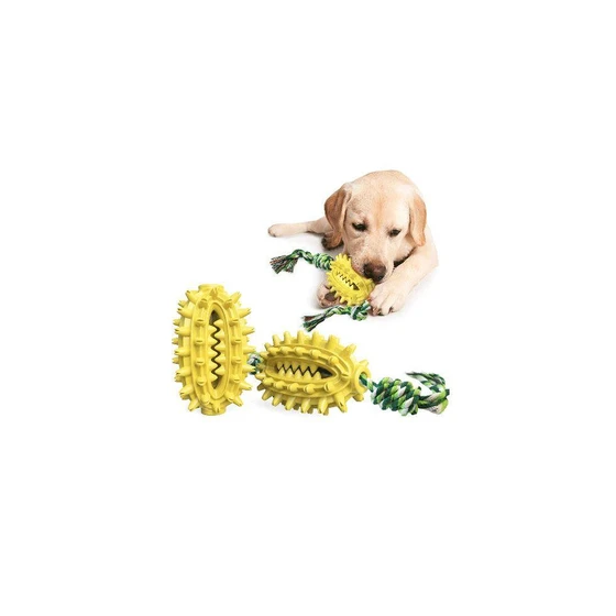 pet-toys-2.webp