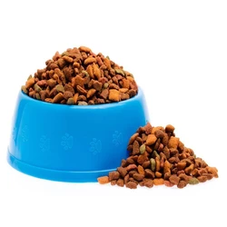 Pet Food
