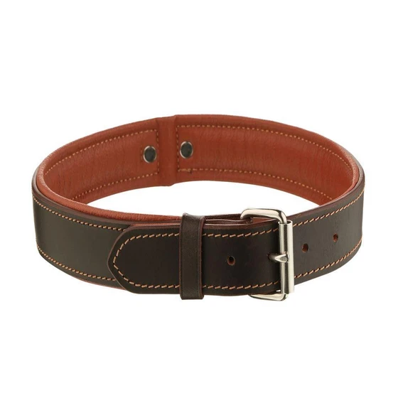 brown-dog-collars.webp