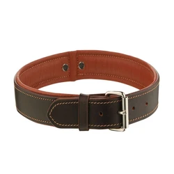 Brown Dog Collars