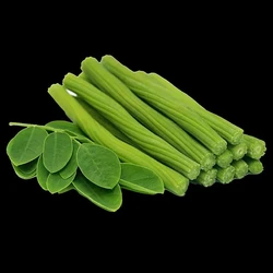 Natural Fresh Drumstick